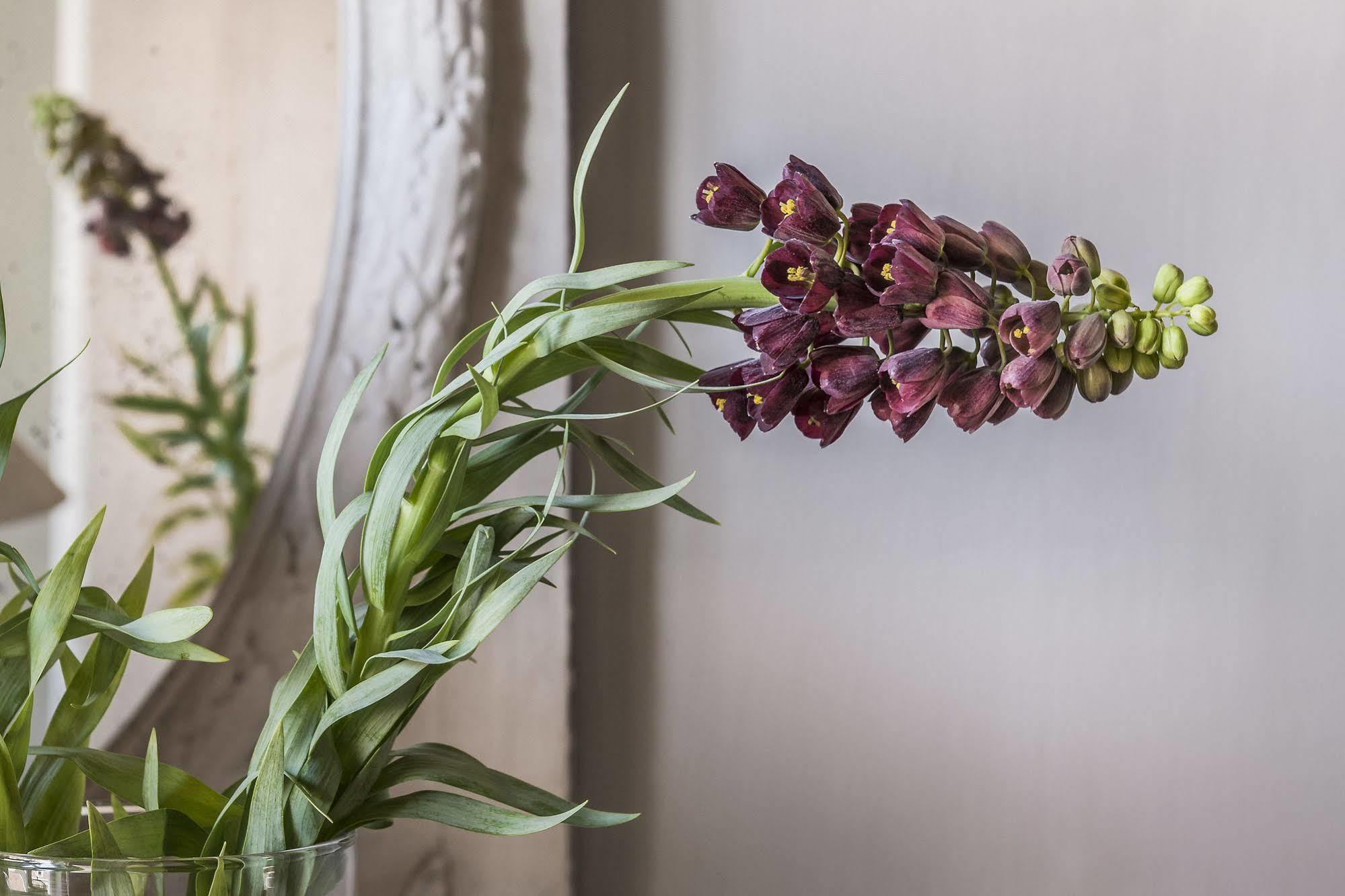 Hign-end Getaway In Heart Of Medieval - Katelijne * Bruges